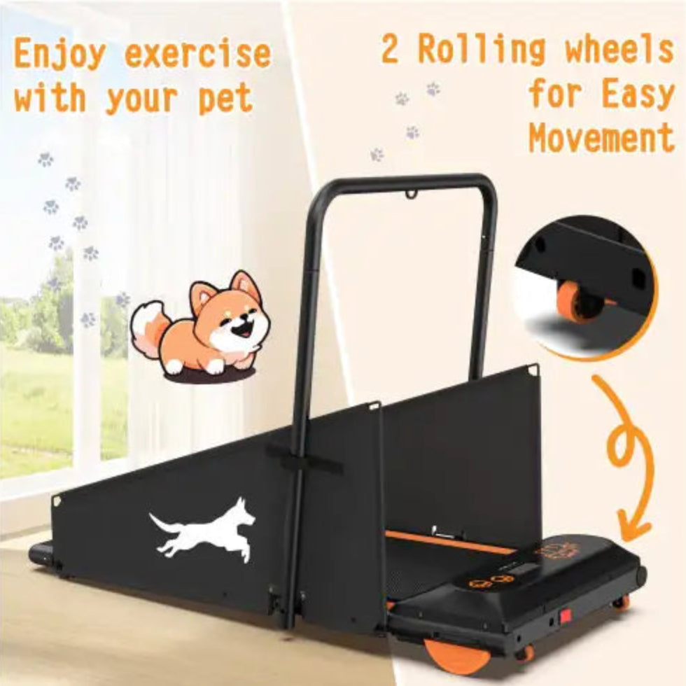 Dog Fitness Treadmill - For Small to Medium Dogs