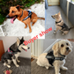 Personalized Reflective Adjustable Pet Harness