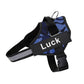 Personalized Reflective Adjustable Pet Harness