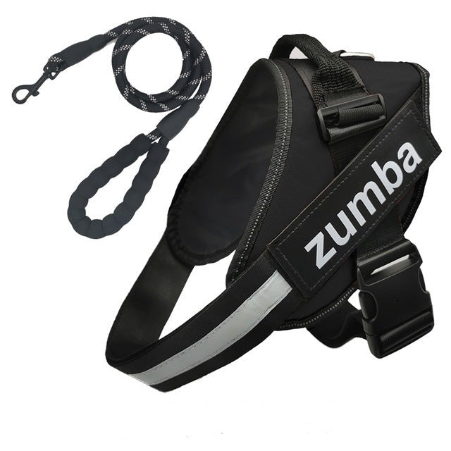 A Sweetest Paw personalized reflective breathable adjustable dog harness and leash set with the word zumba on it.