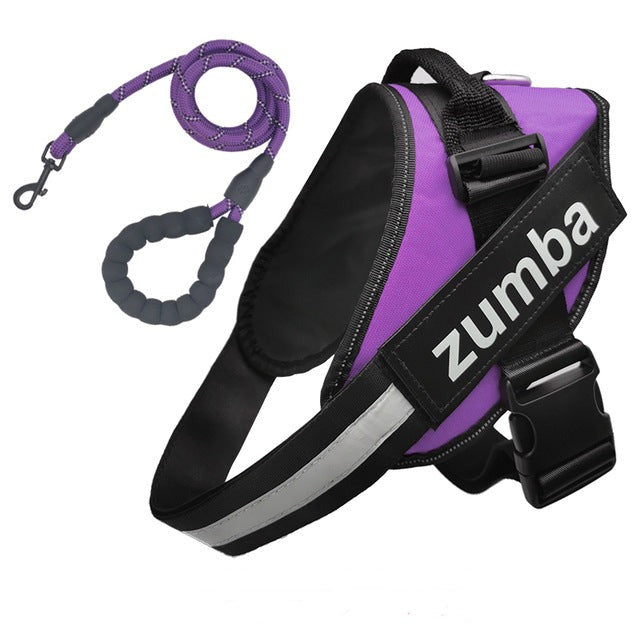 A purple Sweetest Paw Personalized Reflective Breathable Adjustable Dog Harness and Leash Set with the word zumba on it.