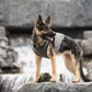 US Army Dog Cooling Vest - Grey